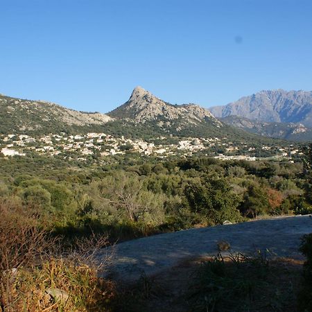 Villa Belle Location Sur Lumio Avec Vue Remarquable Et Jardin Esterno foto