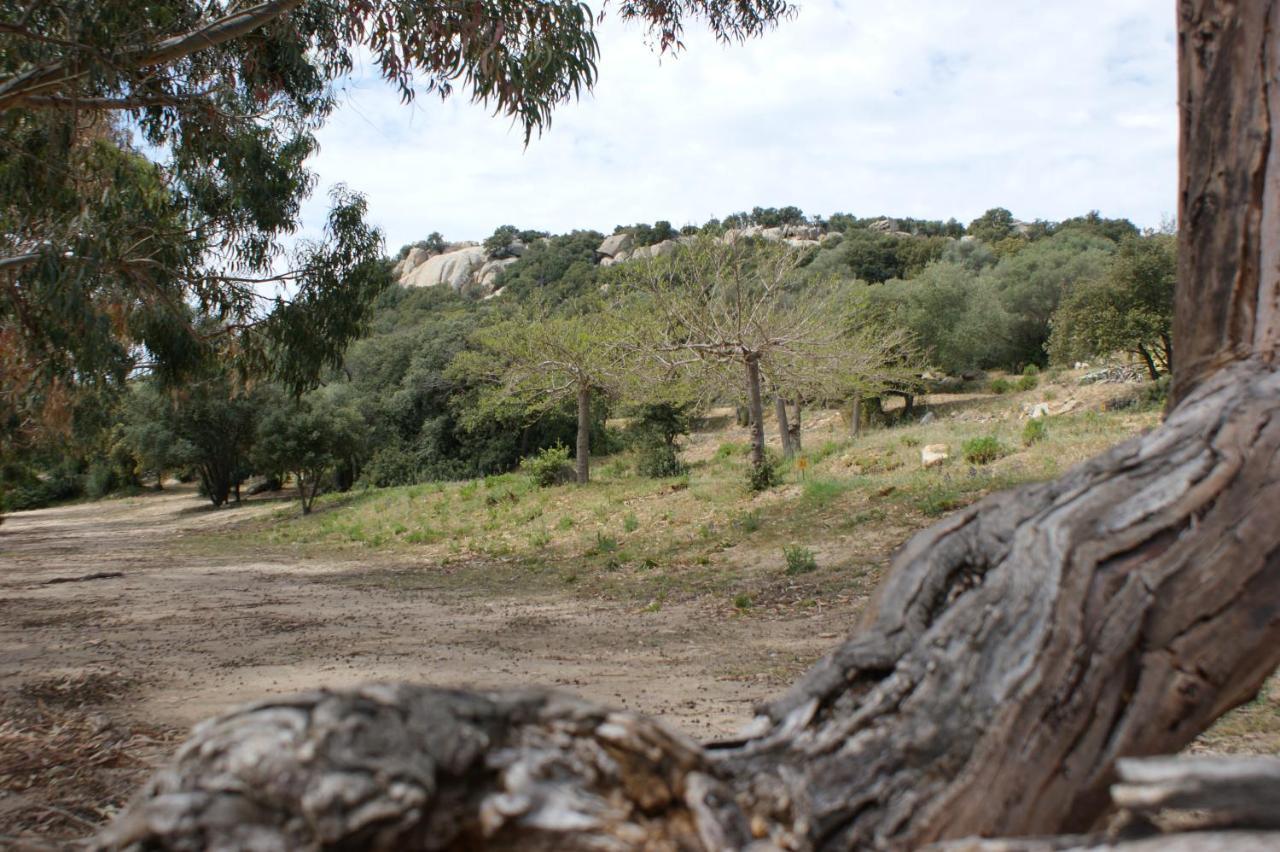 Villa Belle Location Sur Lumio Avec Vue Remarquable Et Jardin Esterno foto