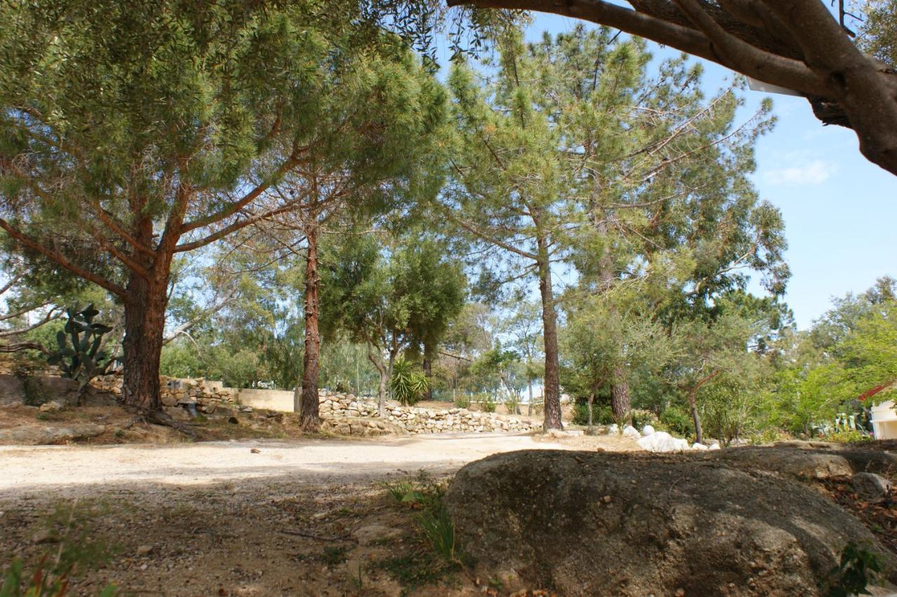 Villa Belle Location Sur Lumio Avec Vue Remarquable Et Jardin Esterno foto