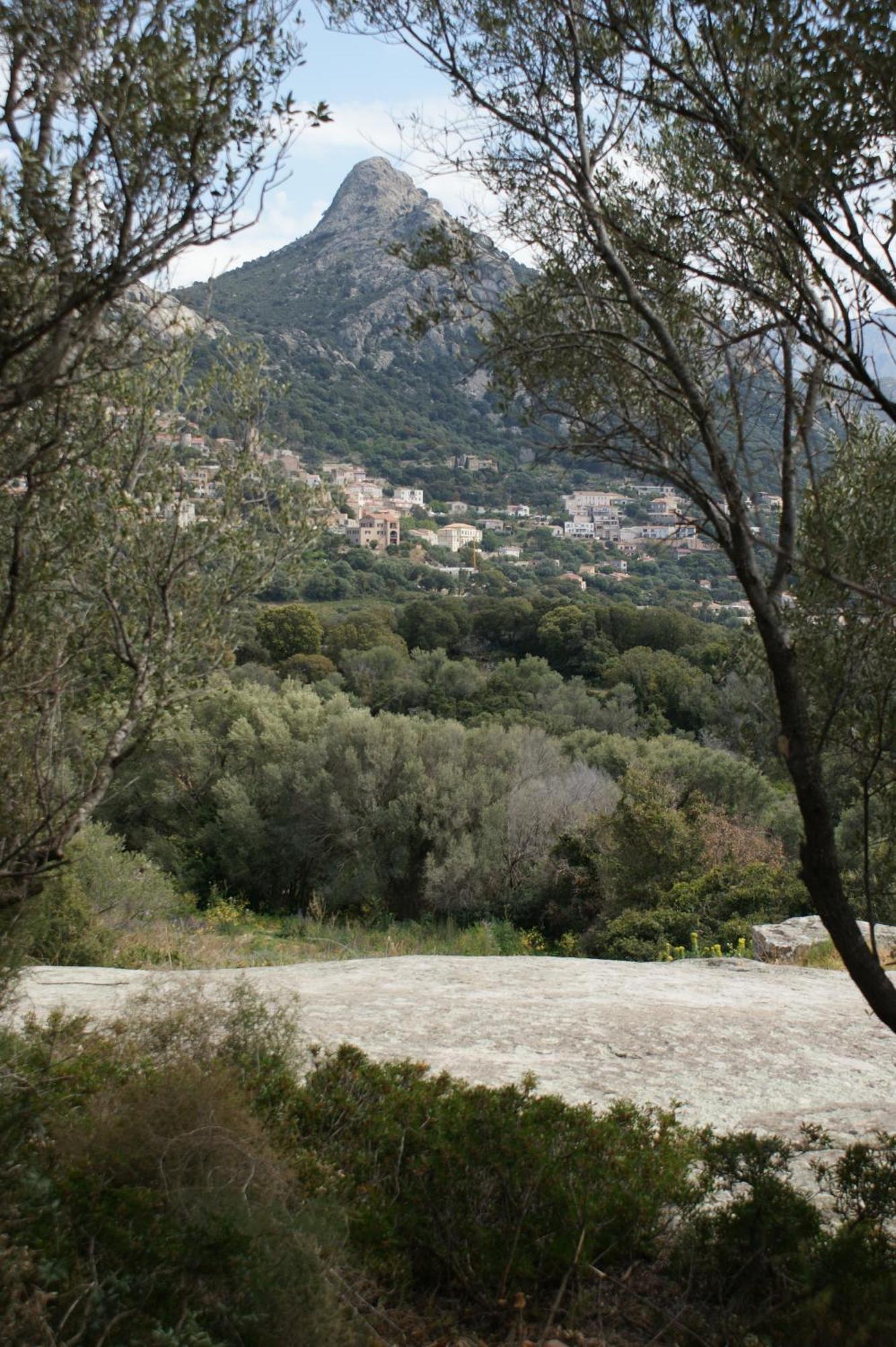 Villa Belle Location Sur Lumio Avec Vue Remarquable Et Jardin Esterno foto