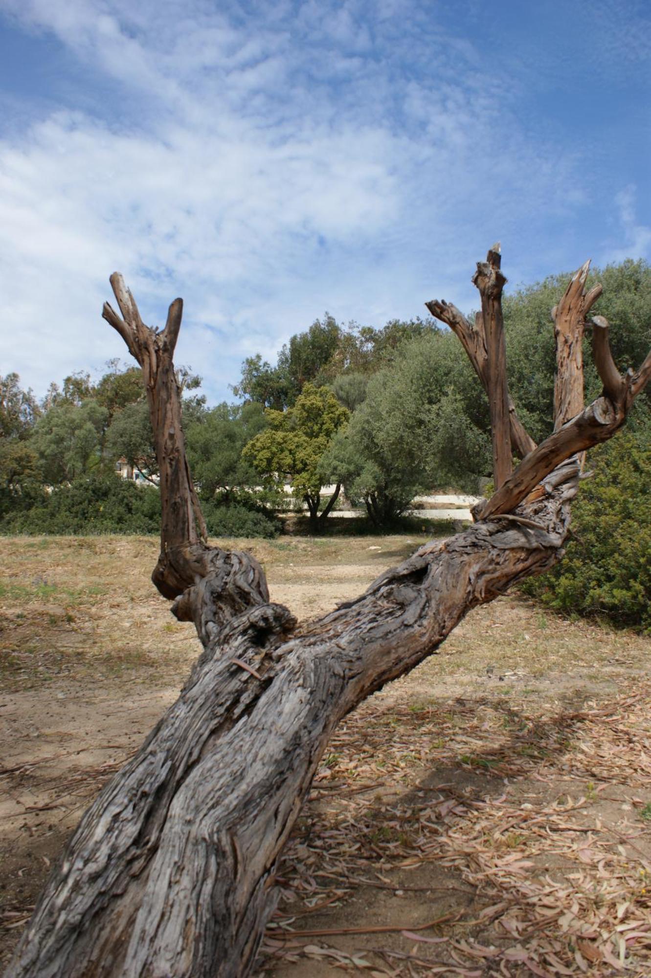 Villa Belle Location Sur Lumio Avec Vue Remarquable Et Jardin Esterno foto