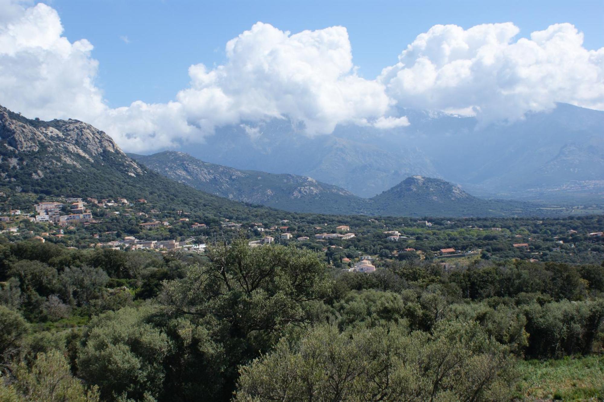 Villa Belle Location Sur Lumio Avec Vue Remarquable Et Jardin Esterno foto